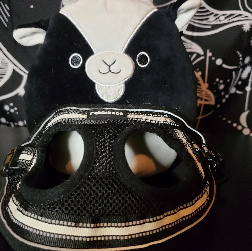 Small Pet Harness Bundle